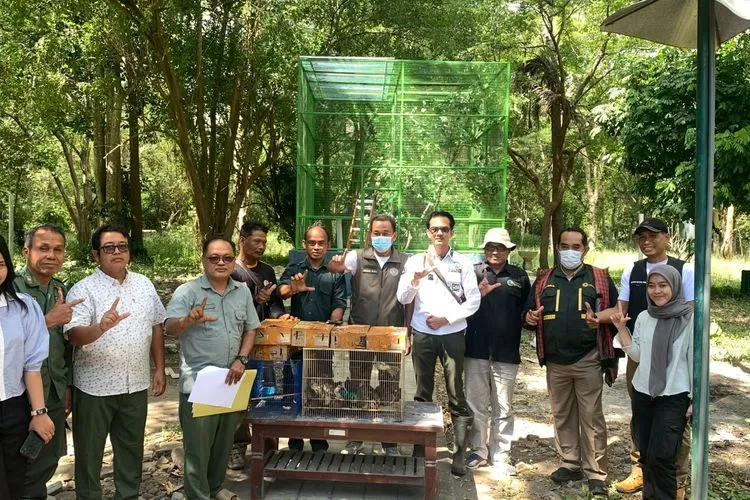 Burung Kesayangan di Cilacap: Kenapa Careng Kicau Jadi Pilihan Utama?